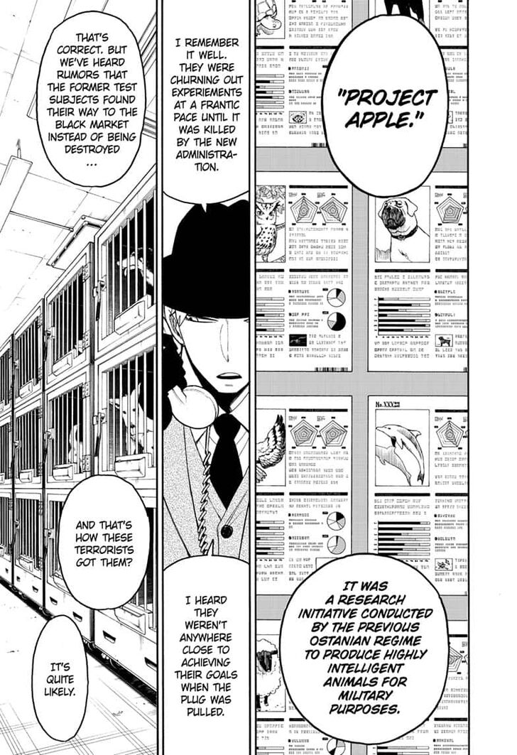 Spy x Family, Chapter 19 image 07